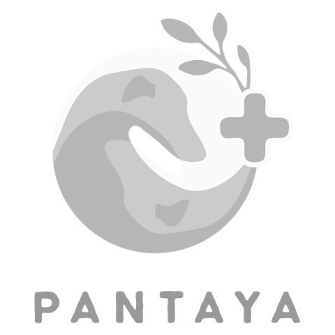 Pantaya logo redesign