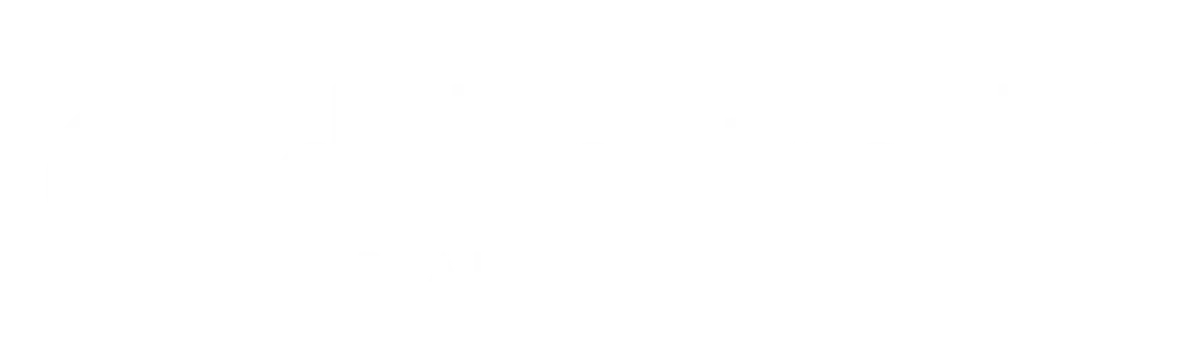 Dalmatinski portal logo w