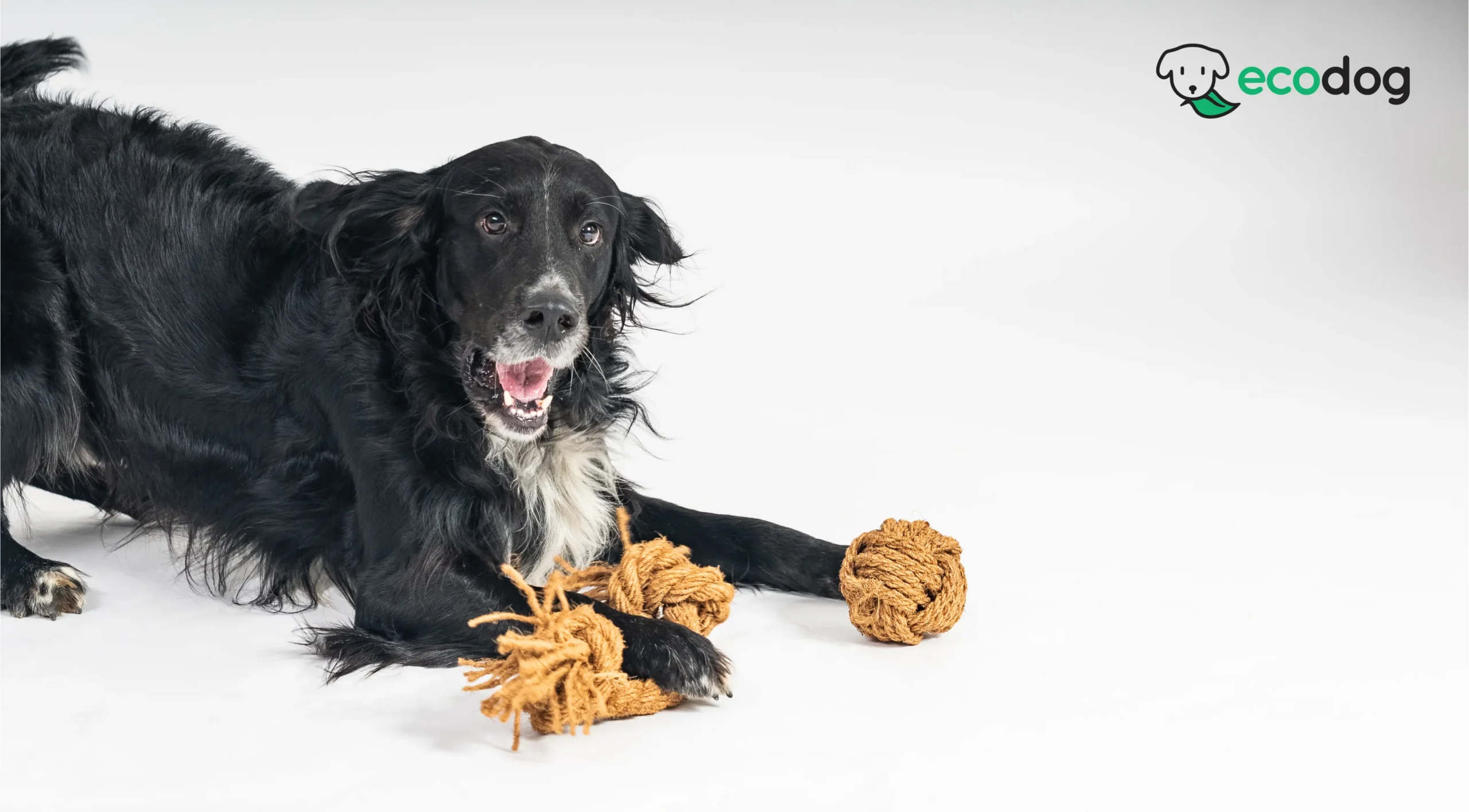 ecodog coco-loco igračke za pse izrađene od kokosovih vlakana – ekološke, čvrste i bez plastike