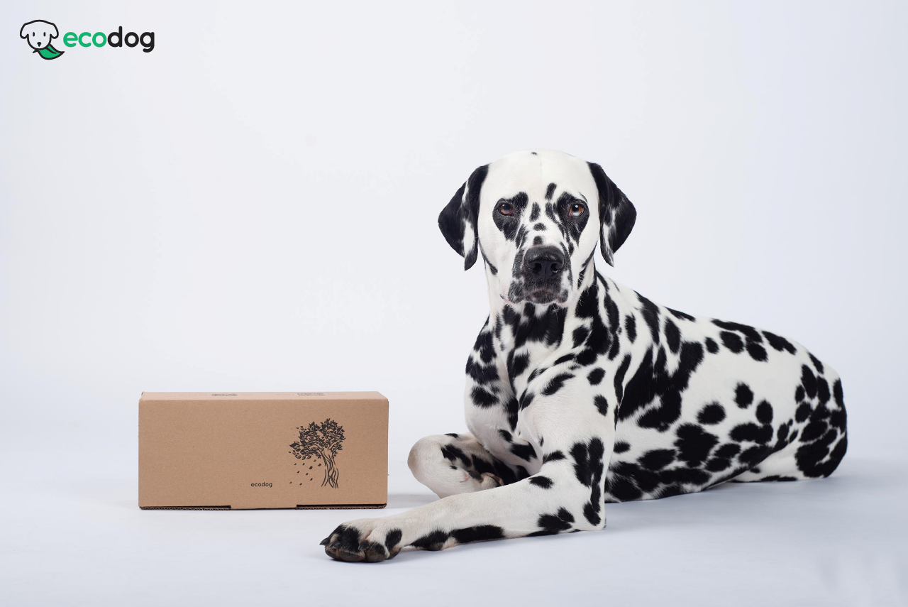 ecodog papirnata vrećica FEDOG od recikliranog papira za skupljanje psećeg otpada bez plastike