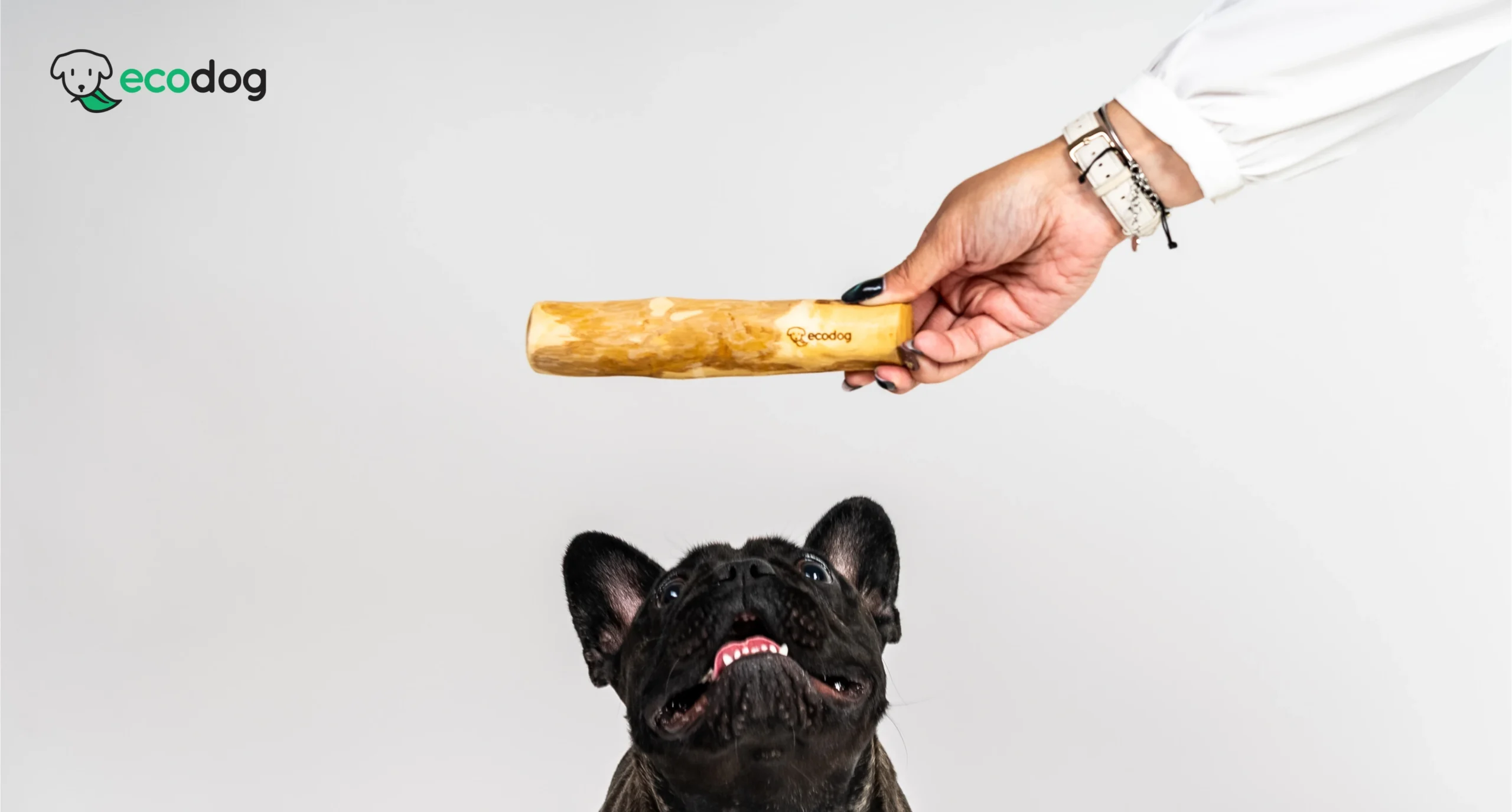 ecodog žvak-žvak grickalice od drveta kave – prirodna i sigurna zabava za pse svih veličina